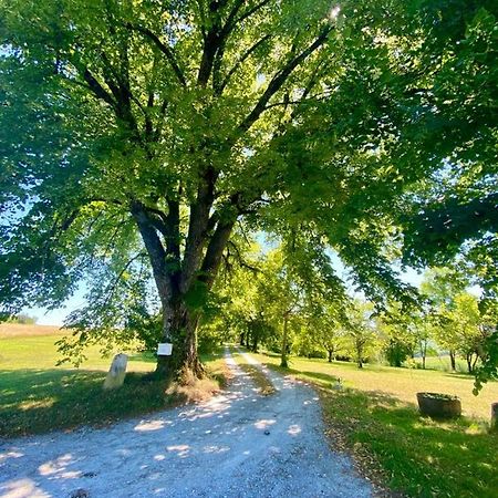 Gite De L'Edelinie Nanteuil-Auriac-de-Bourzac Esterno foto