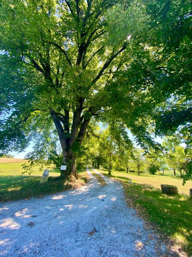 Gite De L'Edelinie Nanteuil-Auriac-de-Bourzac Esterno foto